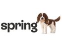 Spring Logo